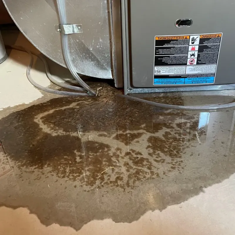 Pipe Burst and Leak Restoration in Bedford Heights, OH